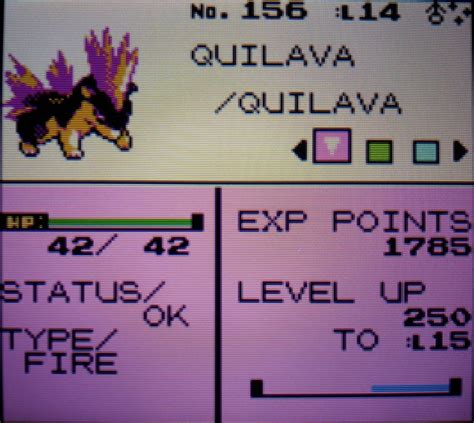 shiny cyndaquil gen 2|gen 2 shiny hunting.